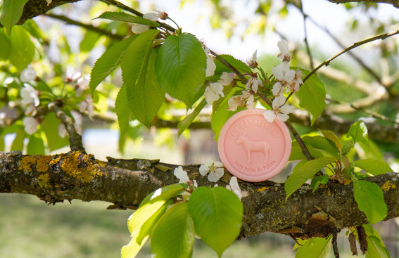 Pourquoi le séchage est essentiel pour un savon ?