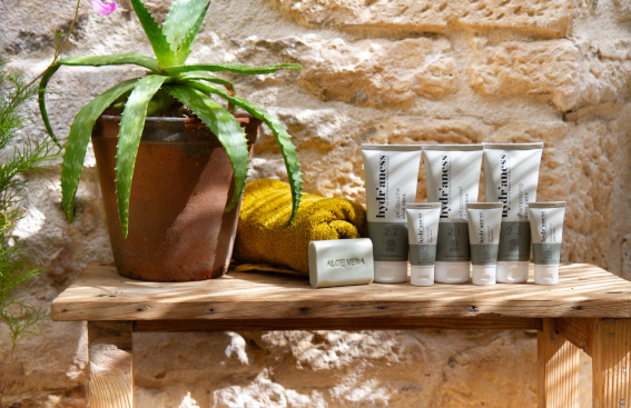 Crème au lait d'ânesse ou aloe vera : quel soin choisir pour hydrater sa peau ?