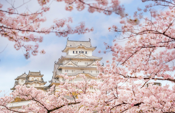 Inspirations japonaises : de la fleur de cerisier dans votre salle de bains