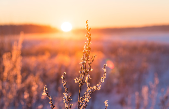 Quels sont les actifs à privilégier en hiver ?