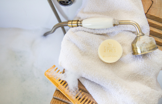 Shampoing au lait d’ânesse : aide-t-il à rééquilibrer le cuir chevelu ?