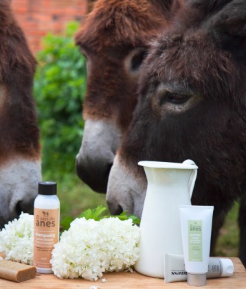 Cosmétiques naturels et savons au lait d'ânesse frais et bio avec des ânes