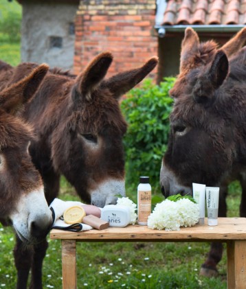 Cosmétiques naturels et savons au lait d'ânesse frais Au Pays des Ânes et Hydr'aness